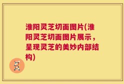 淮阳灵芝切面图片(淮阳灵芝切面图片展示，呈现灵芝的美妙内部结构)
