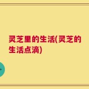 灵芝里的生活(灵芝的生活点滴)