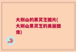 大别山的黑灵芝图片(大别山黑灵芝的美丽图像)