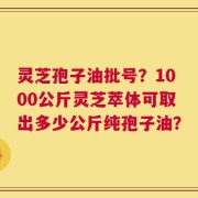 灵芝孢子油批号？1000公斤灵芝萃体可取出多少公斤纯孢子油？