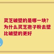 灵芝破壁的是哪一块？为什么灵芝孢子粉去壁比破壁的更好