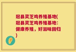 冠县灵芝鸡养殖基地(冠县灵芝鸡养殖基地：健康养殖，好滋味回归)