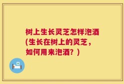 树上生长灵芝怎样泡酒(生长在树上的灵芝，如何用来泡酒？)