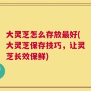 大灵芝怎么存放最好(大灵芝保存技巧，让灵芝长效保鲜)