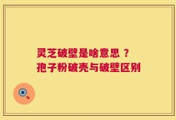 灵芝破壁是啥意思 ？孢子粉破壳与破壁区别