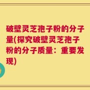 破壁灵芝孢子粉的分子量(探究破壁灵芝孢子粉的分子质量：重要发现)