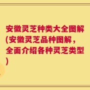 安徽灵芝种类大全图解(安徽灵芝品种图解，全面介绍各种灵芝类型)
