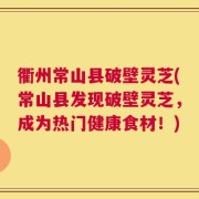 衢州常山县破壁灵芝(常山县发现破壁灵芝，成为热门健康食材！)