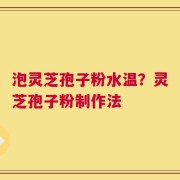泡灵芝孢子粉水温？灵芝孢子粉制作法