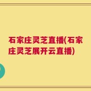 石家庄灵芝直播(石家庄灵芝展开云直播)