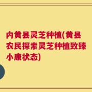 内黄县灵芝种植(黄县农民探索灵芝种植致臻小康状态)