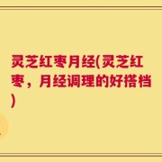 灵芝红枣月经(灵芝红枣，月经调理的好搭档)