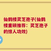 仙鹤楼灵芝孢子(仙鹤楼重磅推荐：灵芝孢子的惊人功效)