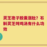 灵芝孢子胶囊涨肚？石斛灵芝炖鸡汤有什么功效