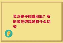 灵芝孢子胶囊涨肚？石斛灵芝炖鸡汤有什么功效