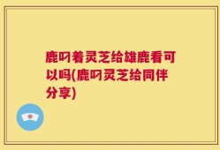 鹿叼着灵芝给雄鹿看可以吗(鹿叼灵芝给同伴分享)