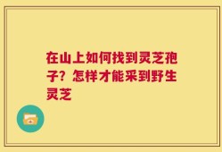 在山上如何找到灵芝孢子？怎样才能采到野生灵芝
