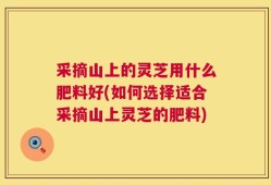 采摘山上的灵芝用什么肥料好(如何选择适合采摘山上灵芝的肥料)