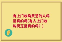 有上门收购灵芝的人吗是真的吗(有人上门收购灵芝是真的吗？)