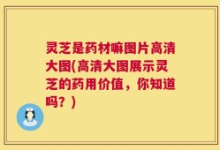 灵芝是药材嘛图片高清大图(高清大图展示灵芝的药用价值，你知道吗？)