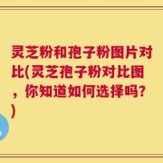灵芝粉和孢子粉图片对比(灵芝孢子粉对比图，你知道如何选择吗？)
