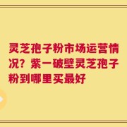 灵芝孢子粉市场运营情况？紫一破壁灵芝孢子粉到哪里买最好