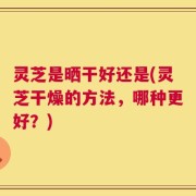 灵芝是晒干好还是(灵芝干燥的方法，哪种更好？)