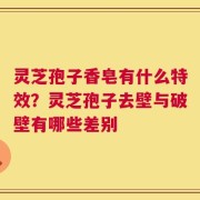 灵芝孢子香皂有什么特效？灵芝孢子去壁与破壁有哪些差别