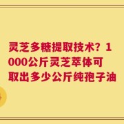 灵芝多糖提取技术？1000公斤灵芝萃体可取出多少公斤纯孢子油