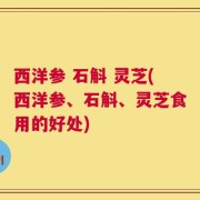 西洋参 石斛 灵芝(西洋参、石斛、灵芝食用的好处)