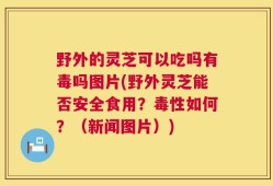 野外的灵芝可以吃吗有毒吗图片(野外灵芝能否安全食用？毒性如何？（新闻图片）)