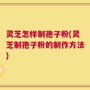 灵芝怎样制孢子粉(灵芝制孢子粉的制作方法)