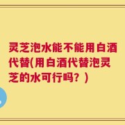 灵芝泡水能不能用白酒代替(用白酒代替泡灵芝的水可行吗？)