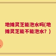 地摊灵芝能泡水吗(地摊灵芝能不能泡水？)