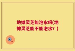 地摊灵芝能泡水吗(地摊灵芝能不能泡水？)