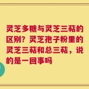 灵芝多糖与灵芝三萜的区别？灵芝孢子粉里的灵芝三萜和总三萜，说的是一回事吗