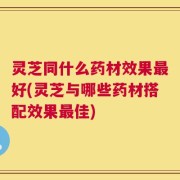 灵芝同什么药材效果最好(灵芝与哪些药材搭配效果最佳)