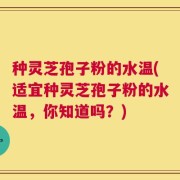 种灵芝孢子粉的水温(适宜种灵芝孢子粉的水温，你知道吗？)