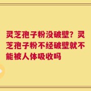 灵芝孢子粉没破壁？灵芝孢子粉不经破壁就不能被人体吸收吗