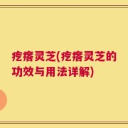 疙瘩灵芝(疙瘩灵芝的功效与用法详解)