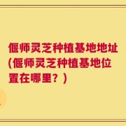 偃师灵芝种植基地地址(偃师灵芝种植基地位置在哪里？)