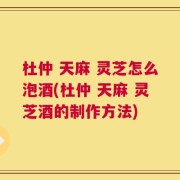 杜仲 天麻 灵芝怎么泡酒(杜仲 天麻 灵芝酒的制作方法)