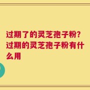 过期了的灵芝孢子粉？过期的灵芝孢子粉有什么用