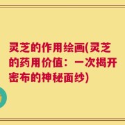 灵芝的作用绘画(灵芝的药用价值：一次揭开密布的神秘面纱)