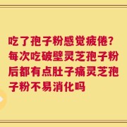 吃了孢子粉感觉疲倦？每次吃破壁灵芝孢子粉后都有点肚子痛灵芝孢子粉不易消化吗