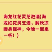 海龙红花灵芝泡酒(海龙红花灵芝酒，解秋冻暖身提神，今晚一起来一杯！)