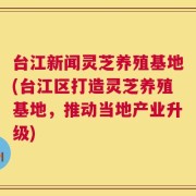 台江新闻灵芝养殖基地(台江区打造灵芝养殖基地，推动当地产业升级)