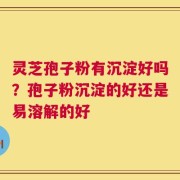灵芝孢子粉有沉淀好吗？孢子粉沉淀的好还是易溶解的好