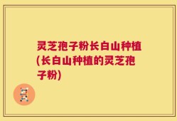 灵芝孢子粉长白山种植(长白山种植的灵芝孢子粉)