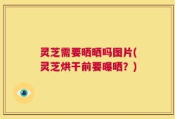 灵芝需要晒晒吗图片(灵芝烘干前要曝晒？)